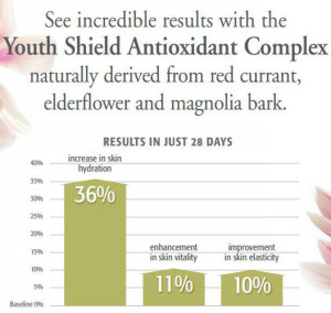 Youth Shield Chart